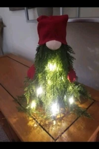 Lighted Gnome Christmas Tree - Picture 1 of 2