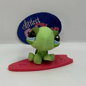 TURTLE #1148 W/ Accessory - Authentic Littlest Pet Shop - Hasbro LPS - Picture 1 of 5