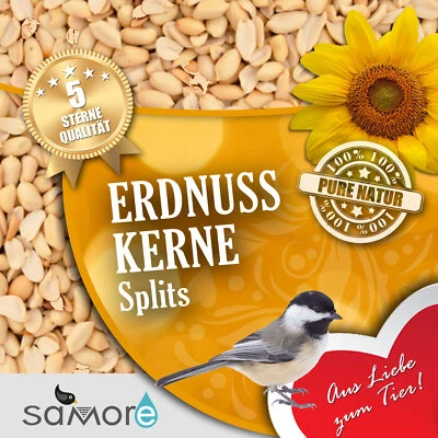 10 kg Erdnusskerne SPLITS Erdnüsse halbe ganze Nüsse Vogelfutter blanchiert weiß - Bild 1 von 2