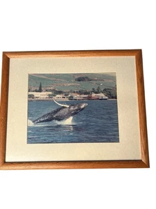 Signed Humpback Whale Photo Print – Lahaina, Maui, 1988 - Picture 1 of 6