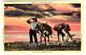 Postkarte Wo der wahre Westen beginnt Zwei Maultiere mit einem Cowboy - Bild 1 von 2
