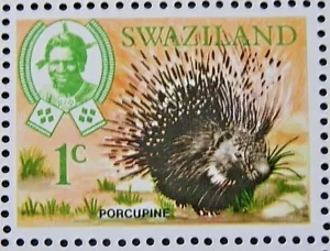 SWAZILAND 1969 SG162 1c. CAPE PORCUPINE- MNH - Picture 1 of 1