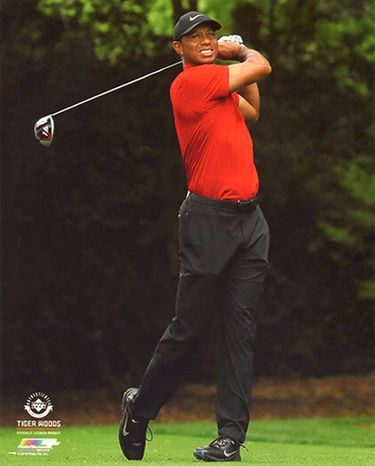 Tiger Woods 2019 Masters Augusta Georgia Champion Licencia Oficial 8x10 Foto 3 Foto 1 de 1