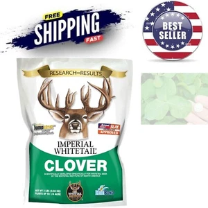 2 lbs Clover Seed for Food Plot - Attracts Deer and Promotes Optimal Nutrition - Picture 1 of 3