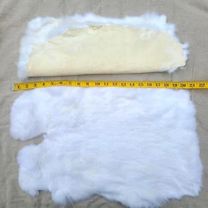 #1 Quality RABBIT hide fur - Picture 1 of 10