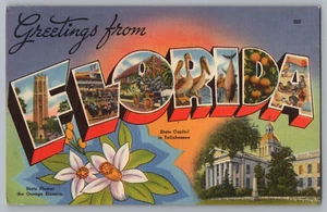 Postcard Greetings From Florida, Large Letter - Picture 1 of 2