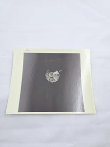 Fotografia lettera rossa originale NASA modulo comando Apollo 9 in orbita - Foto 1 di 8