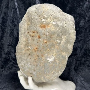 8-1/2” Grande Geoda Cristal Sonajero Cuarzo Sin Cortar Rompe el Tuyo Propio 10.8Lb - Imagen 1 de 9