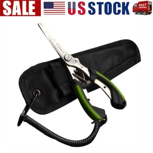 Fishing Pliers Stainless Steel Hook Remover Fishing Braided Line Cutter Scissor - Picture 1 of 13