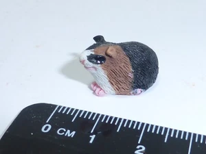Meerschweinchen g1 Puppenhaus Miniatur Haustier Zubehör Maßstab 1:12 - Bild 1 von 2