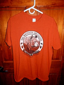 MEN'S PORCUPINE MT. WILDERNESS STATE PARK, SOUVENIR T-SHIRT, SIZE LARGE, NWOT - Picture 1 of 3