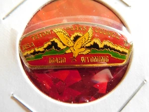 EG SCOUT BSA TETON PEAKS COUNCIL CSP HAT PIN MERGED IDAHO WYOMING ID WY EAGLE !! - Picture 1 of 3