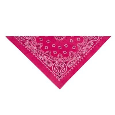 Paisley Bandana Brights Perro Mascota Bufanda Cuello COLLAR Western 6 Colores Talla Única Foto 1 de 4