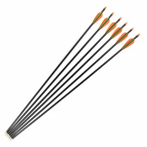 6X 30"Fiberglass Arrow Sp500 Plastic Feather 8mm F Compound Bow Archery Practice - Picture 1 of 7