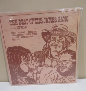 The Best of The James Gang-Joe Walsh -Original Vinyl Lp 1973-ABC Records - Imagen 1 de 4