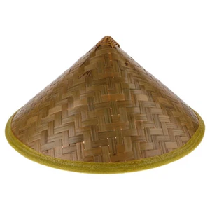Stage Performance Hat Elevator Entrance Vietnamese Cosplay Asian - Picture 1 of 12