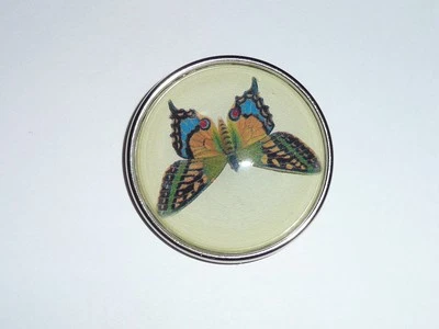 Adorable Butterfly Domed Picture Shank Button w/Silver Bezel  1-1/2" Butterfly - Image 1 of 4