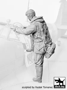 Black Dog 1/32 piloto de combate británico de la RAF #7 1940-1945 escalada en avión F32077 - Imagen 1 de 1