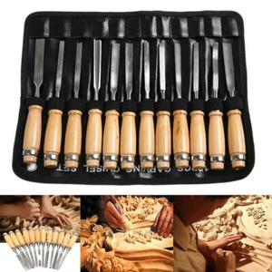 12 Piece Wood Carving Set Hand Chisel Set Professional Woodworking Gouges Kit - Picture 1 of 8