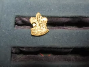 Strengthen the Arm of Liberty 1950's Boy Scout Lapel Pin NR - Picture 1 of 1