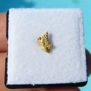 Minerali *** RARA PEPITA d'ORO LUCENTISSIMA NATURALE Western Australia - Imagen 1 de 2