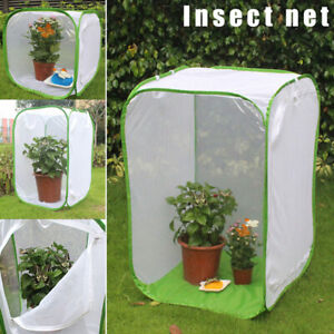 Mantis Stick Small Insect Butterfly Plant Cage Foldable Pop-up Housing一Enclosure
