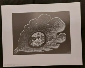 M.C. "Gotas de rocío" aprox. 43 cm x 34 cm póster imagen / "Dewdrop" / G. W. Breughel - Imagen 1 de 6