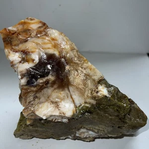 Achatisiertes opalisiertes Feuer versteinertes Holz 2 Pfund 9 Unzen schönes Display - Bild 1 von 17
