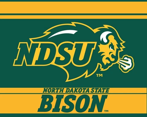 NORTH DAKOTA STATE 5" X 6" STRIPED MAGNET-NDSU BISON CAR MAGNET-NEW FOR 2016 Cover