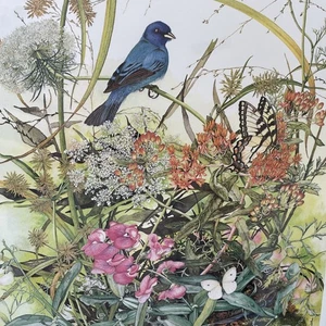 Signed Art Indigo Bunting Sallie Ellington Middleton Frame Nature Bird Butterfly - Picture 1 of 8