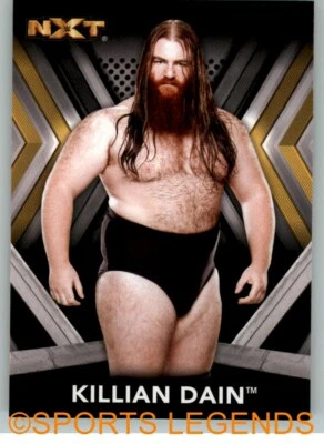 2017 NXT Roster #7 Killian Dain - Image 1 of 2