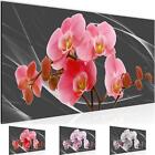 Wandbild Blumen Orchidee Bild XXL Wohnzimmer Bilder 100x40 cm grau rosa rot