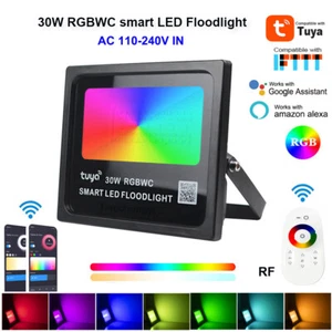 30W RGBWC Smart LED Floodlight Tuya WiFi Zigbee IP66 voice control 2.4G RF 1pcs - Picture 1 of 13