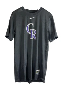 Nike Men's Colorado Rockies Authentic Collection Legend Logo Dri-FIT-Black,Small - Picture 1 of 9