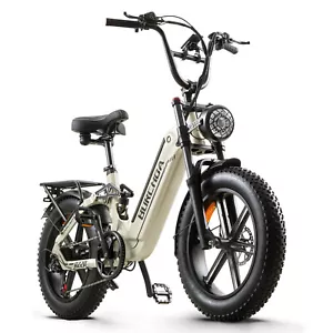 E-Bikes 20 Zoll E-Mountainbike 48V 20AH Trekking eBIKE 25km/h Elektrofahrrad - Bild 1 von 24