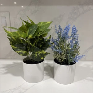 2 piante finte in vaso lavanda e pothos da bersaglio - Foto 1 di 2