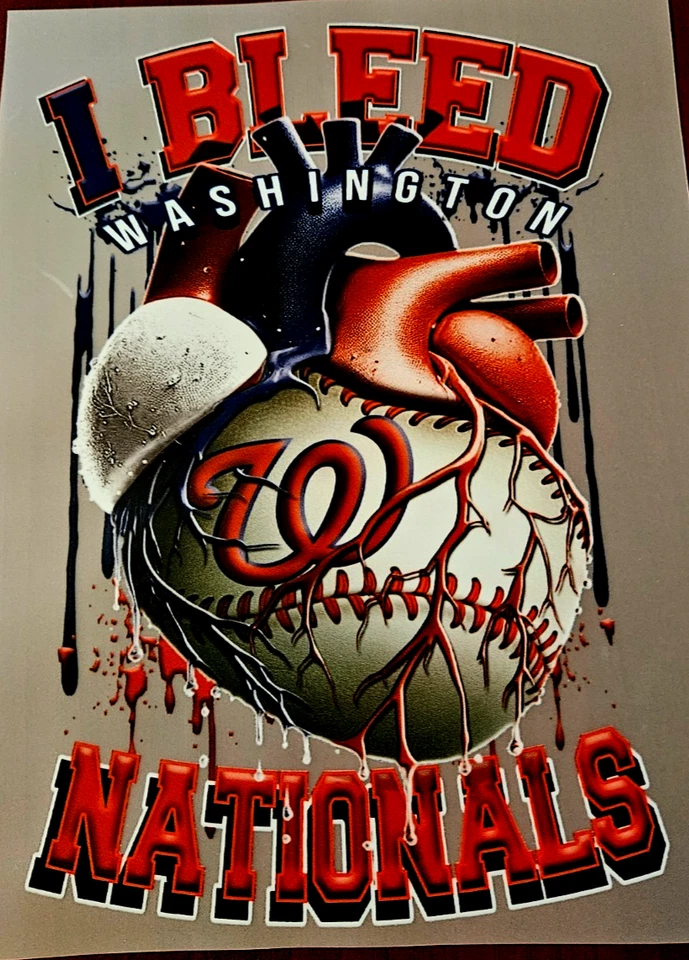 Washington Nationals Colorful 8" DTF Heat Transfer Iron On FREE Shipping (C3/4) - Image 1 of 1