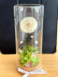 Real Preserved Forever Plant Flower Dandelion In Glass Home Decoration Gift rose - Picture 1 of 3