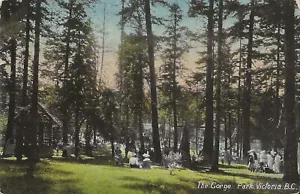 Postal Columbia Británica Isla de Vancouver Victoria GORGE PARK c1898-1901 A.A.A. - Imagen 1 de 2