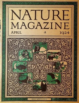 Nature Magazine April 1924 Birds Flying Squirrel Fish Butterflies  - Image 1 of 2