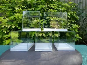 Large Perspex Display Specimen Boxes Crystals Fossils Base 8cm x 5.5cm H 6.2cm - Picture 1 of 26