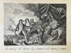 1795 Jagd. The attack of Mr Munroe by a Tiger Island of Saugur 13x20,5 cm - Bild 1 von 5