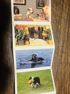 The North Shore Animal League Postcards Unused Set Of Uncut 6 - Picture 1 of 11