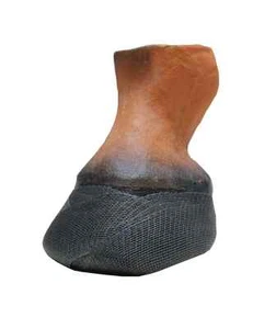 Equus Hoofcast - Temporary Horse Hoof Support - Picture 1 of 4