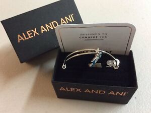 Alex and Ani Joy Sand Dollar Color Infusion Bangle Bracelet Shiny Rose NWTBC