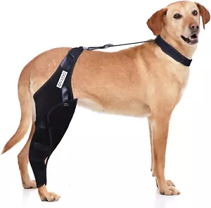 Dog Knee Brace for ACL, Knee Cap Dislocation, Arthritis - Full Wrap - Easy Adjus - Picture 1 of 7