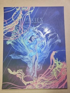 Poster serigrafato Pixies Mansfield MA Kevin Tong 7 luglio 2018 ufficiale ESAURITO - Foto 1 di 12