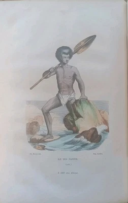 1853 VOYAGES AUTOUR DU MONDE OCÉANIE ALBERT-MONTÉMONT  GRAVURES COULEURS - Photo 1/4