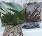 Terrarium Essentials Kit Include Rocks Charcoal Potting Soil Natural Green Moss