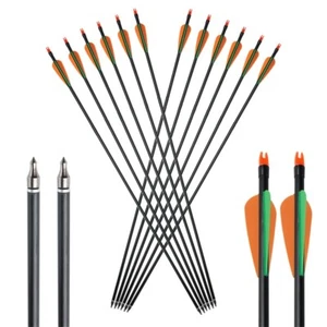 30" 8mm Hunting Fiberglass Practice Arrows Spine 500 with Replaceable Arrowhead - Picture 1 of 21